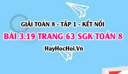 Giải bài 3.19 trang 63 Toán 8 Tập 1 SGK Kết nối tri thức